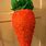 Carrot Pinata