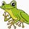 Cartoon Frog Photo