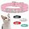 Cat Collars Personalized