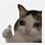 Cat Emojis for Discord