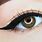 Cat Eye EyeLiner