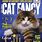 Cat Fancy Magazine Breeds