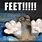 Cat Feet Meme