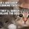 Cat Funny Pet Memes
