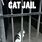 Cat Jail Meme