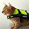Cat Life Vest