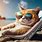 Cat On Vacation