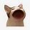Cat Open Mouth Icon