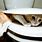 Cat Stuck in Toilet