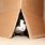 Cat Under the Box