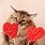 Cat Valentine's