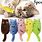 Catnip Toys for Cats