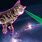 Cats with Laser Beams