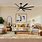 Ceiling Fans for Living Room