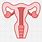 Cervix Clip Art