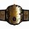Championship Belt Strap