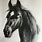 Charcoal Horse Drawing