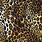 Cheetah Leopard Print Background