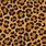 Cheetah Print Vector