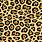 Cheetah Skin Print