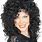 Cher Curly Wig