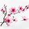 Cherry Blossom Branch Painting