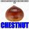 Chestnut Meme