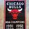 Chicago Bulls Championship Banners