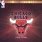 Chicago Bulls DVD Set
