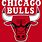 Chicago Bulls Logo White