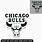 Chicago Bulls Silhouette