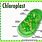 Chloroplast Organelle