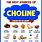 Choline Food Sources