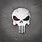 Chris Kyle Punisher Skull Logo