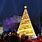 Christmas Tree Lighting Ceremony
