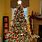 Christmas Tree Tradition