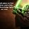 Classic Yoda Quotes