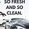 Clean Car Quotes
