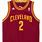 Cleveland Cavaliers Jersey