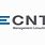 Cnt Consulting Logo