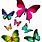 Colorful Butterfly White Background