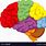 Colorful Cartoon Brain