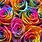 Colorful Roses Desktop Wallpaper