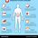 Common Diseases of Digestive System