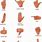 Common Hand Signs