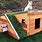 Cool Dog House Designs