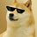 Cool Doge Picture
