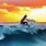 Cool Surfing Pictures