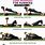 Core Exercises for Runners