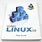 Corel Linux Book
